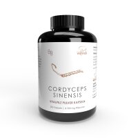 200er Konv. Cordyceps sinensis Pulverkapseln á 500 mg Pilzpulver