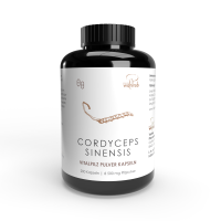 200er Cordyceps sinensis BIO Pulverkapseln á 500 mg Pilzpulver