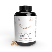 200er Konv. Cordyceps sinensis Pulverkapseln á 500 mg Pilzpulver