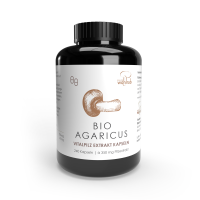 240er BIO Agaricus blazei Extraktkapseln á 465 mg