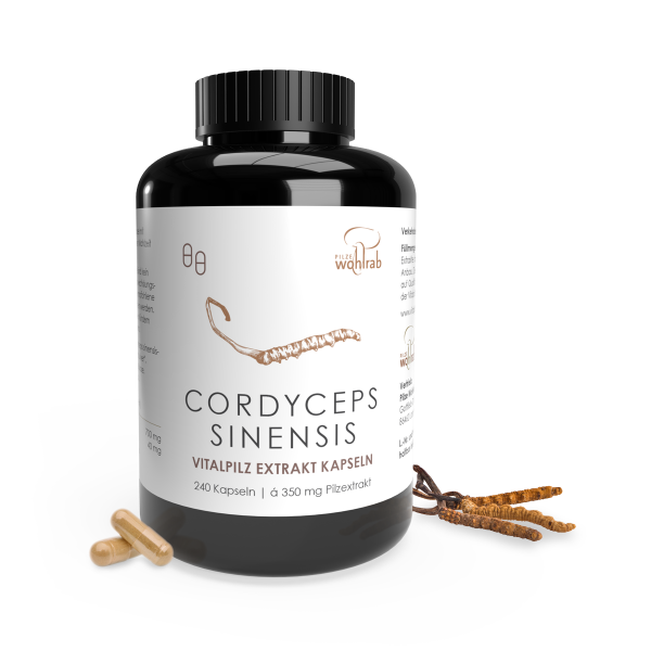 240er Cordyceps sinensis BIO Extraktkapseln á 465 mg