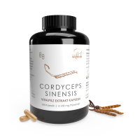 240er Konv. Cordyceps sinensis Extraktkapseln á 465 mg