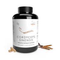 240er Cordyceps sinensis BIO Extraktkapseln á 465 mg