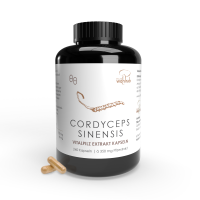 240er Cordyceps sinensis BIO Extraktkapseln á 465 mg