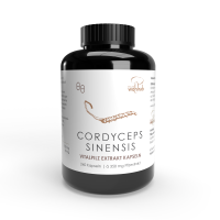 240er Cordyceps sinensis BIO Extraktkapseln á 465 mg