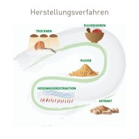 240er Cordyceps sinensis BIO Extraktkapseln á 465 mg