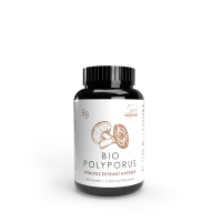 60er BIO Polyporus Extraktkapseln á 465 mg