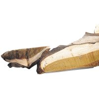 20 g BIO Steinpilze getrocknet