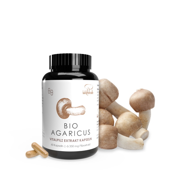 60er BIO Agaricus blazei Extraktkapseln á 465 mg