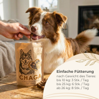 Chaga Leckerlis für Hunde