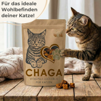 Chaga Leckerlis für Katzen