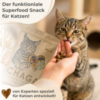 Chaga Leckerlis für Katzen