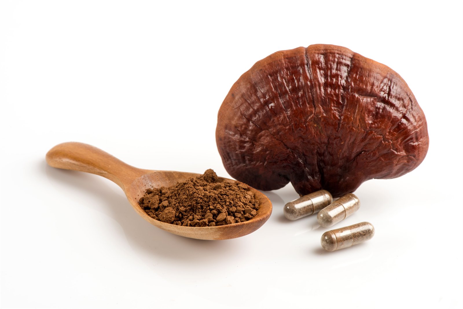 Reishi-Pilz, loses Pilzpulver und Kapseln